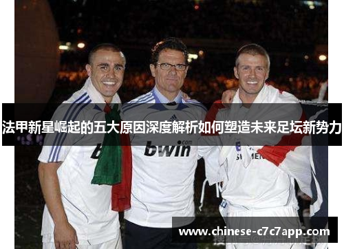 法甲新星崛起的五大原因深度解析如何塑造未来足坛新势力