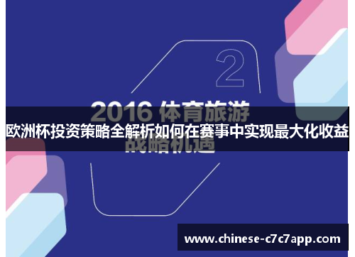 欧洲杯投资策略全解析如何在赛事中实现最大化收益 欧洲杯投资策略全解析如何在赛事中实现最大化收益