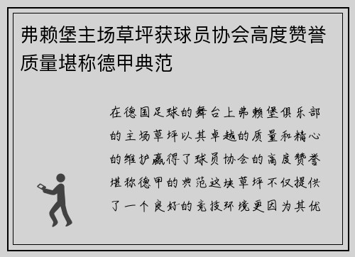 弗赖堡主场草坪获球员协会高度赞誉质量堪称德甲典范 弗赖堡主场草坪获球员协会高度赞誉质量堪称德甲典范