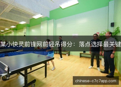 某小快灵前锋网前轻吊得分:落点选择最关键 某小快灵前锋网前轻吊得分:落点选择最关键
